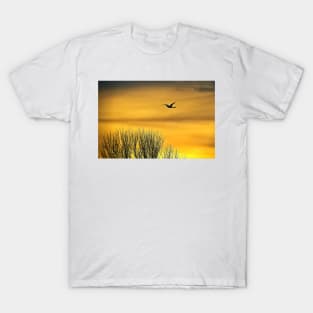 Swan flying into a golden dawn T-Shirt